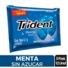 CHICLE TRIDENT MENTA X 3 UND X 24 UND