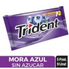 CHICLE TRIDENT X 5 X 9 UND
