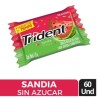 CHICLE TRIDENT SANDIA X 60 UND