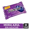 CHICLE TRIDENT MENTA X 60 UND