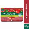 JABON PALMOLIVE GRANADA X 110/120 GR CJ X 72