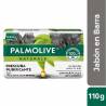 JABON PALMOLIVE CON PARTICULAS DE CARBONO X 110/120 GR CJ X 72