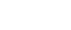 THE HOT BROTHERS